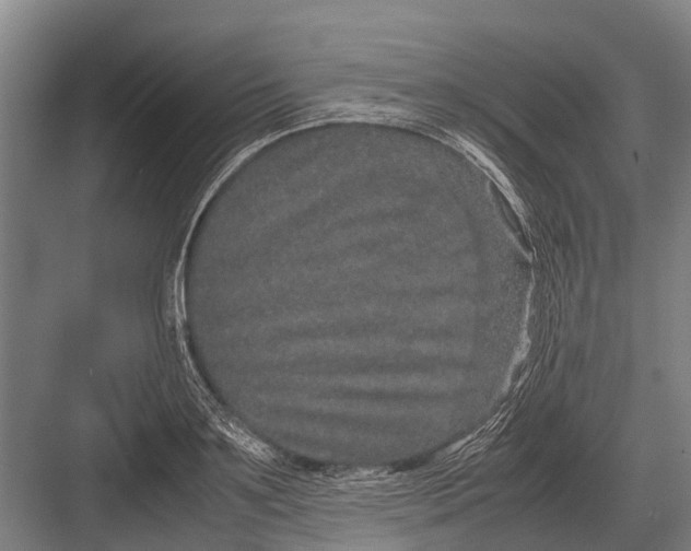 X0000082740891200702161930