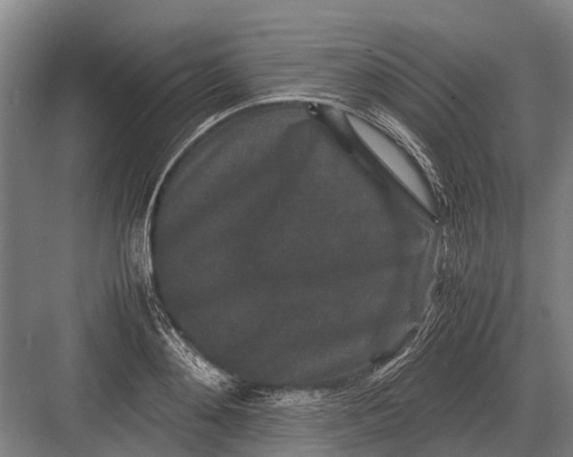 X0000082740892200702161930