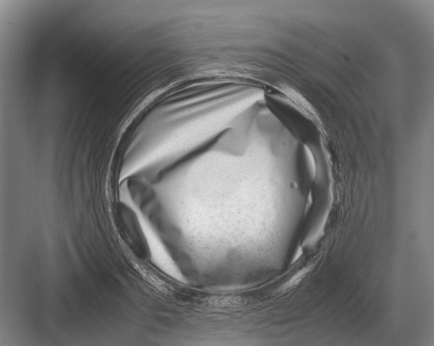 X0000082740893200702161930