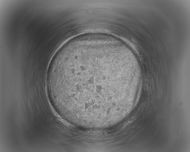 X0000082740895200702161930