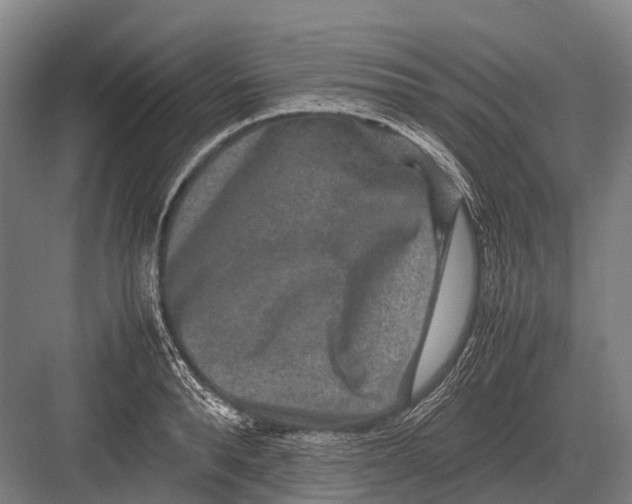 X0000082740896200702161930