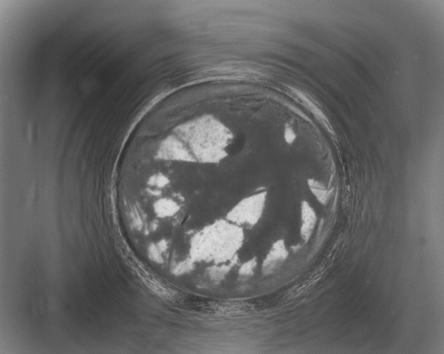 X0000082740899200702161930