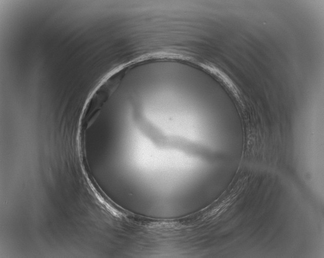 X0000082740902200702161930