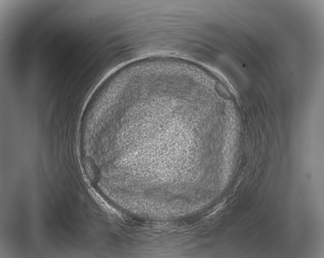 X0000082740903200702161930