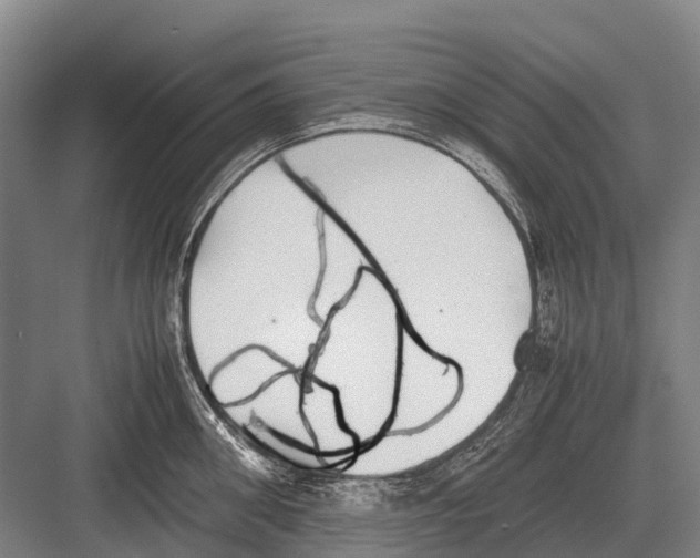 X0000082740906200702161930