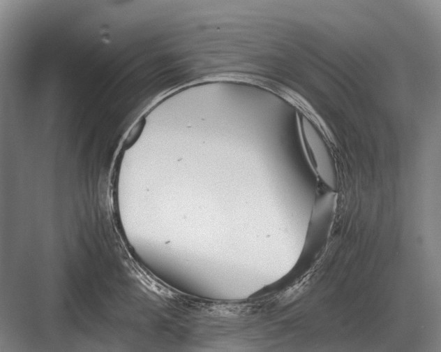 X0000082740908200702161930