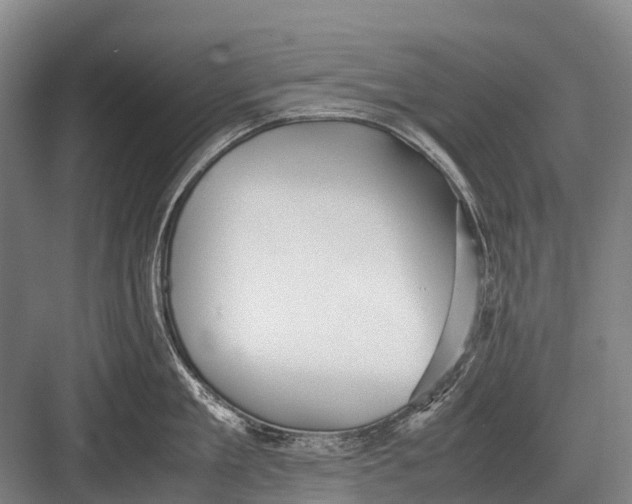 X0000082740909200702161930