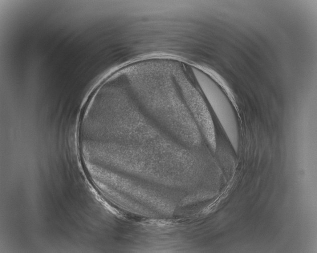 X0000082740910200702161930