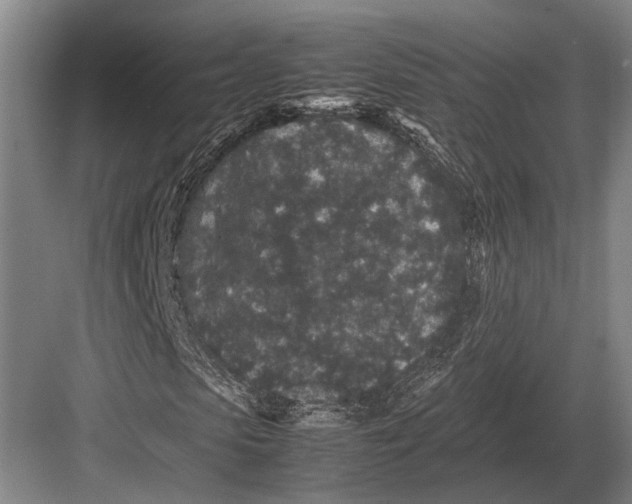 X0000082740913200702161929