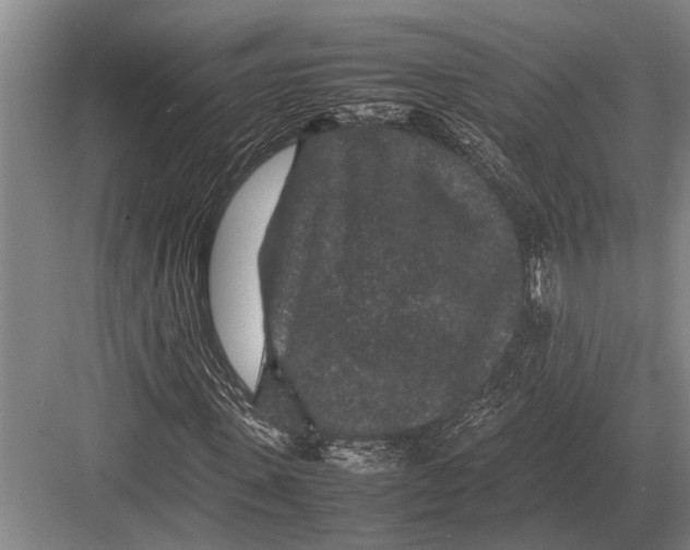 X0000082740915200702161929