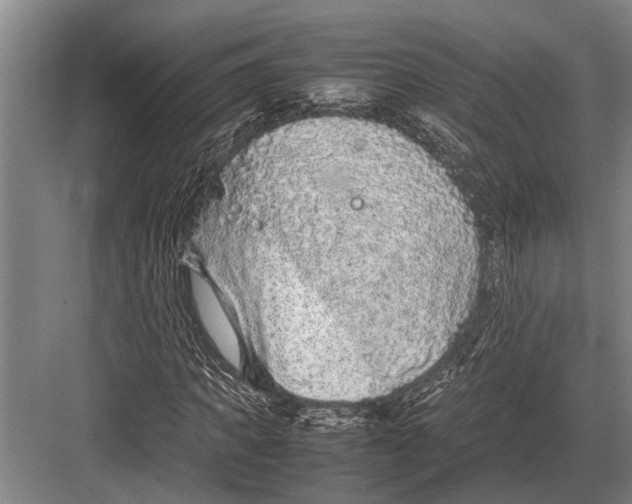 X0000082740917200702161929