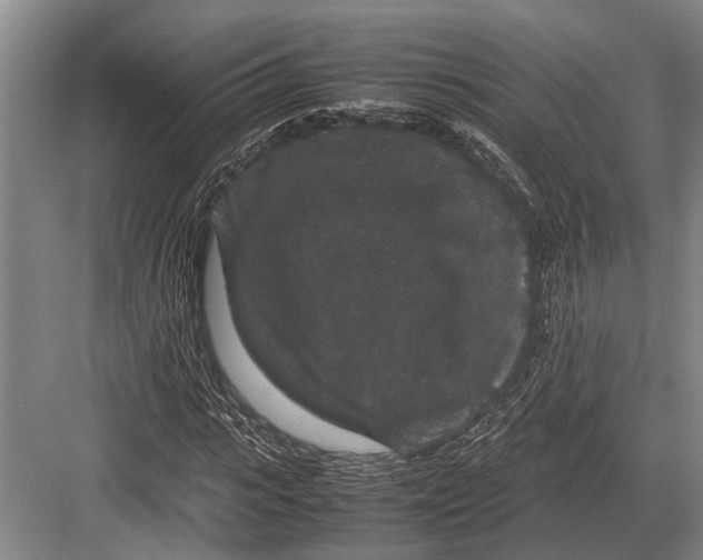 X0000082740919200702161929