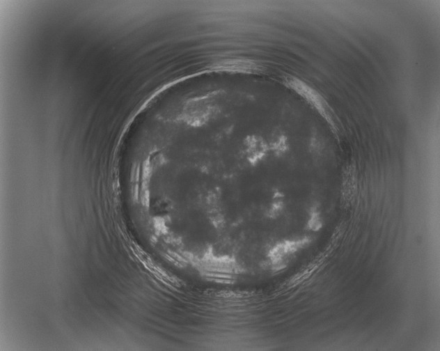 X0000082740923200702161929