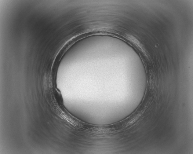 X0000082740924200702161929