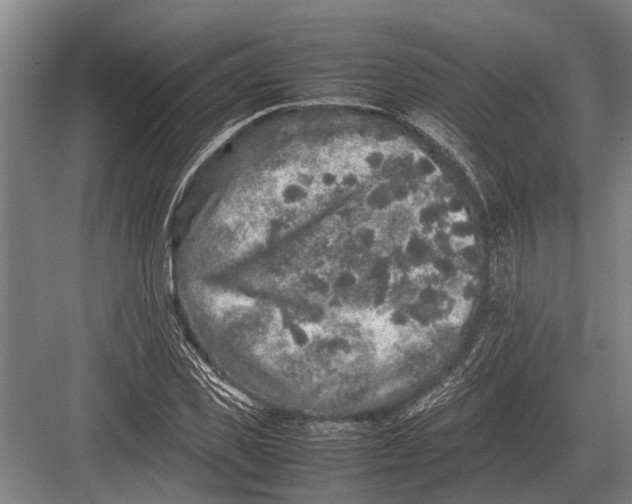 X0000082740925200702161929