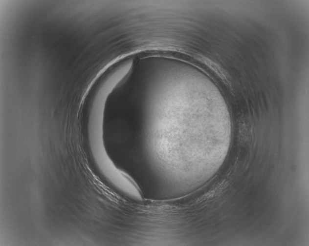 X0000082740926200702161929