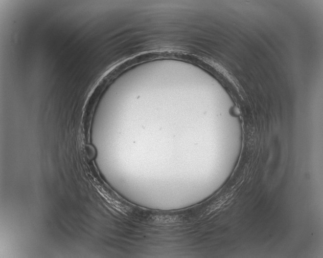 X0000082740927200702161929