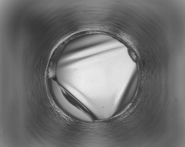 X0000082740928200702161929