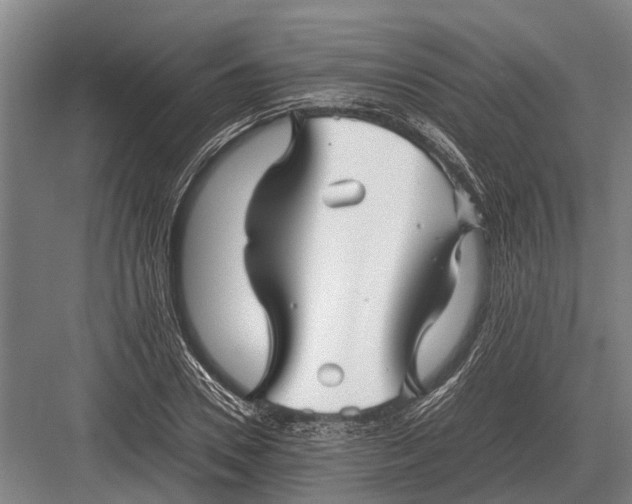 X0000082740930200702161929