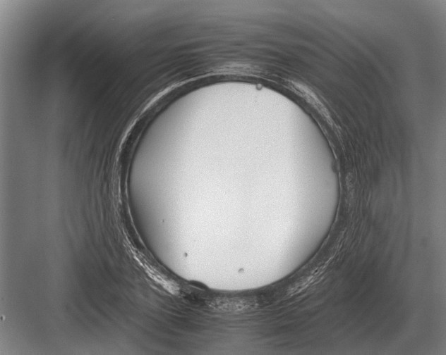 X0000082740931200702161929