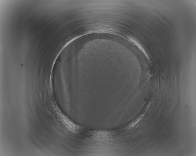 X0000082740932200702161929