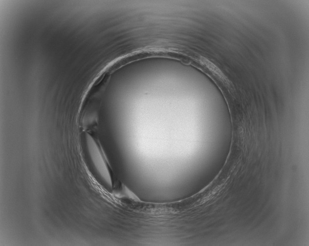 X0000082740934200702161929