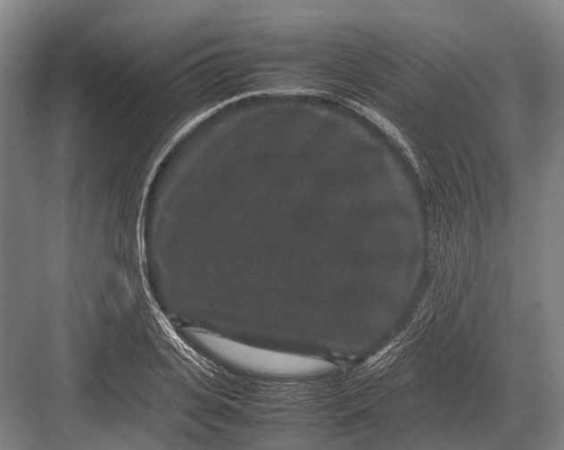 X0000082740935200702161929