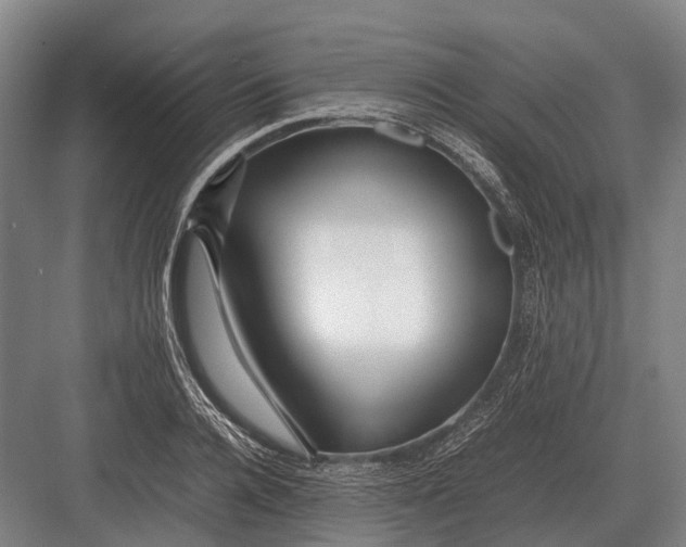 X0000082740936200702161929