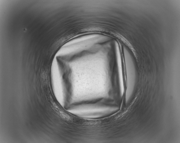 X0000082740937200702161929