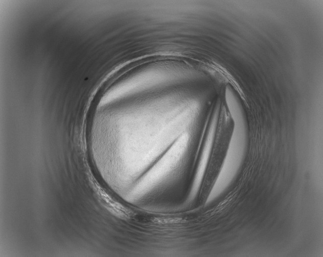 X0000082740939200702161929