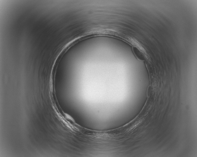 X0000082740940200702161929