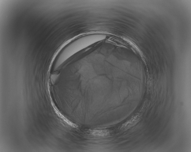 X0000082740941200702161929