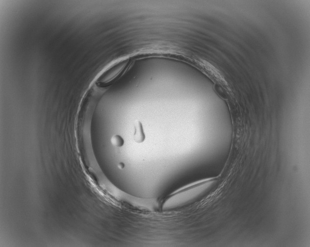 X0000082740942200702161929