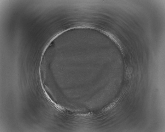 X0000082740943200702161929