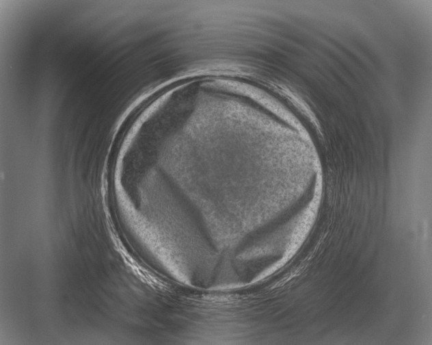 X0000082740944200702161929