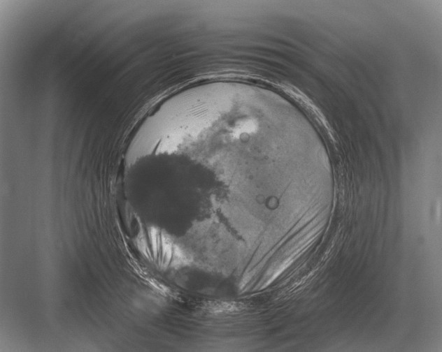 X0000082740945200702161929