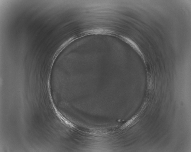 X0000082740946200702161929