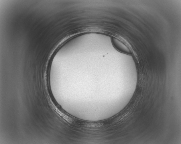 X0000082740947200702161929