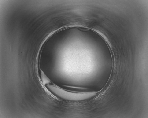 X0000082740949200702161929