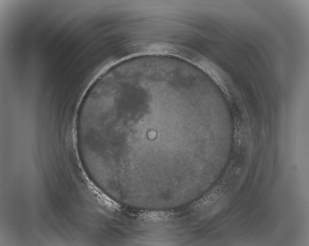 X0000082740950200702161929