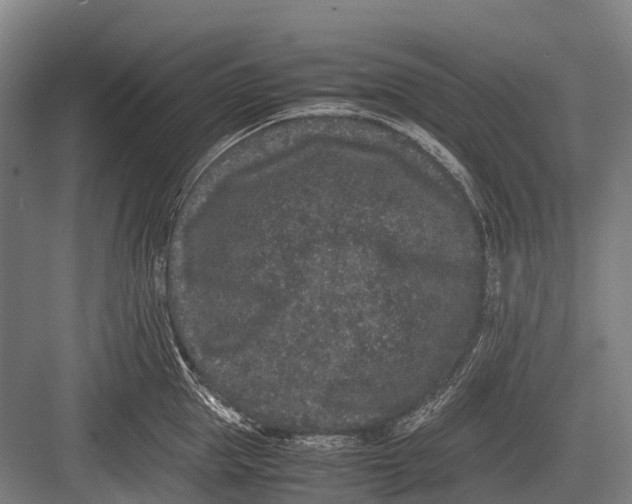 X0000082740953200702161929