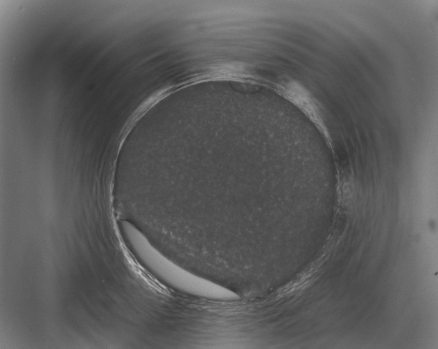 X0000082740954200702161930