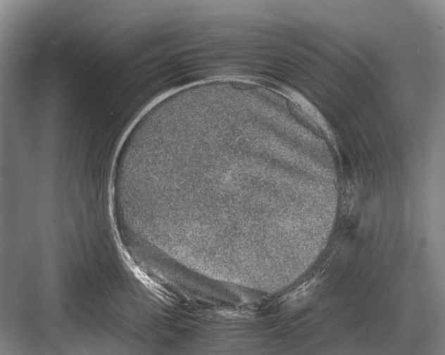 X0000082740955200702161930