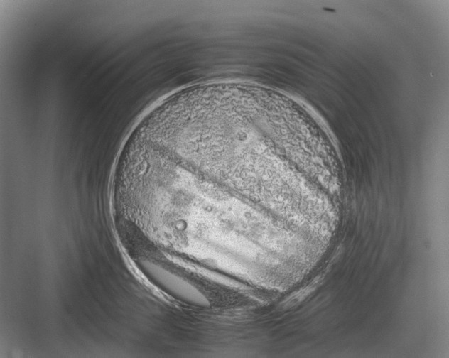 X0000082740957200702161930