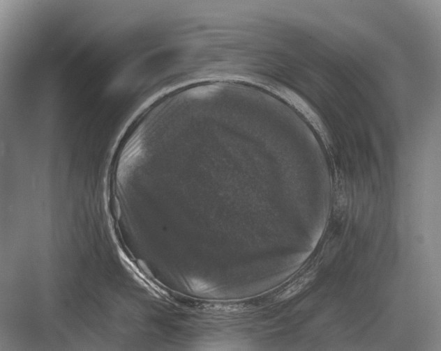 X0000082740958200702161930