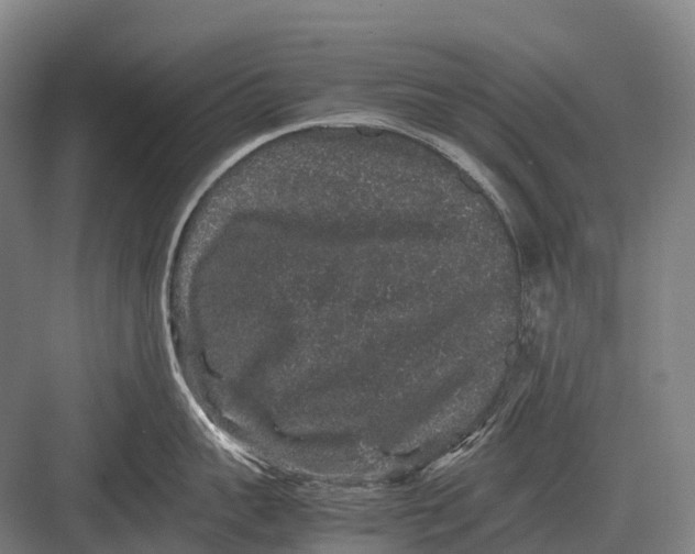 X0000082740959200702161930