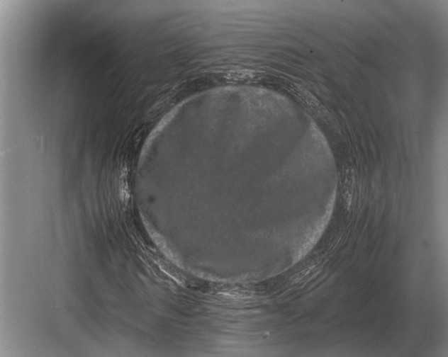 X0000082740962200702161929