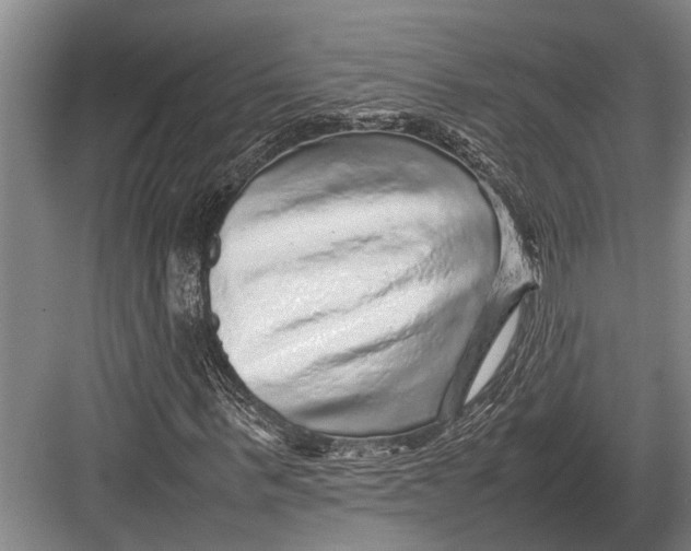 X0000082740963200702161929