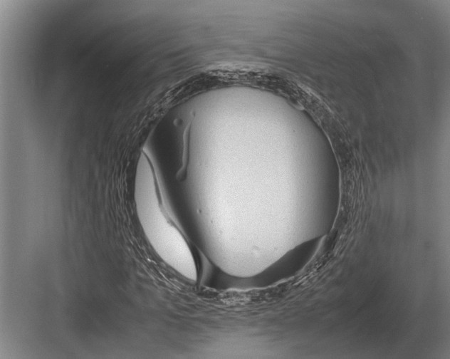 X0000082740965200702161929