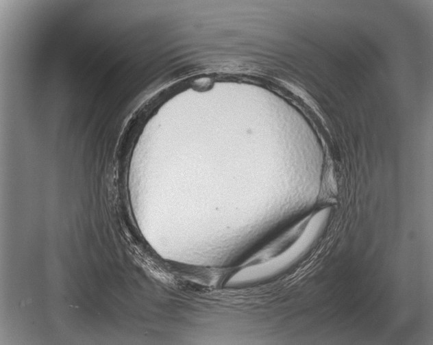 X0000082740971200702161929